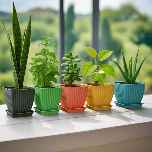 Trendy Square Plastic Flower Pots Set Of 5
